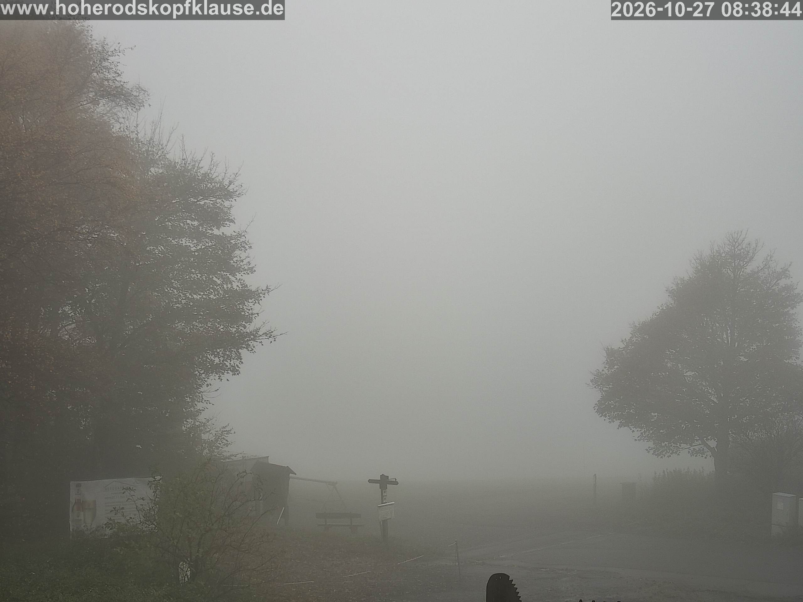 Image Title Here